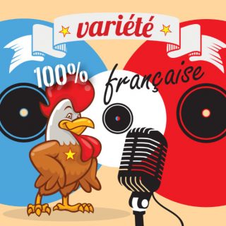 musique variete-francaise dj thierry organisation évènements soirées